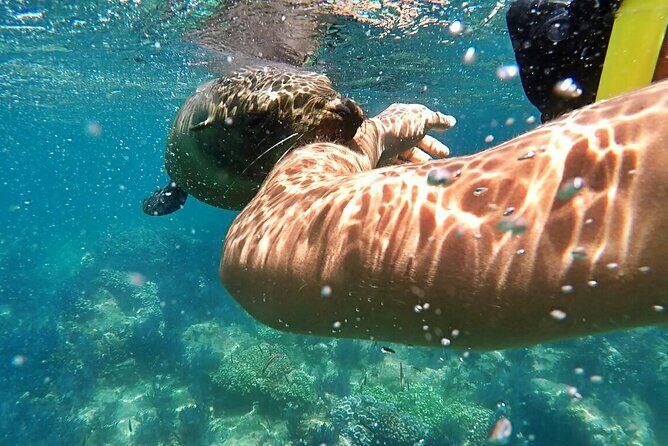 Espiritu Santo Island Day Tour - Considerations and Potential Drawbacks