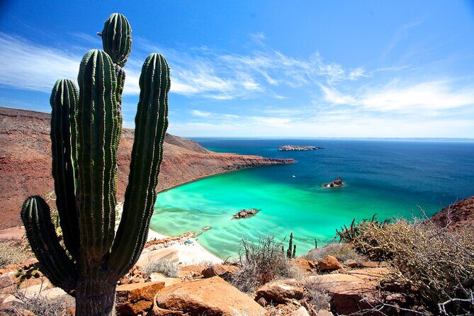 Espiritu Santo Island Full-Day Cruise with Snorkeling and Lunch! Round Trip - Key Points