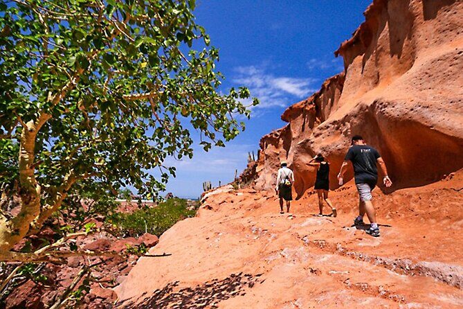 Espiritu Santo Island Full-Day Cruise with Snorkeling and Lunch! Round Trip - Return Journey and Reflection