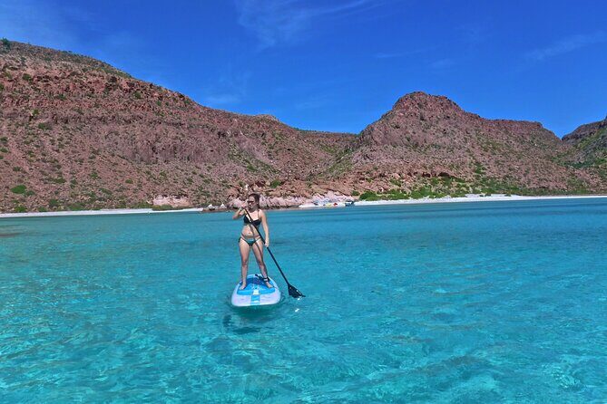 Espiritu Santo Island Private Tour: Sea Lions and paddle boarding - Key Points