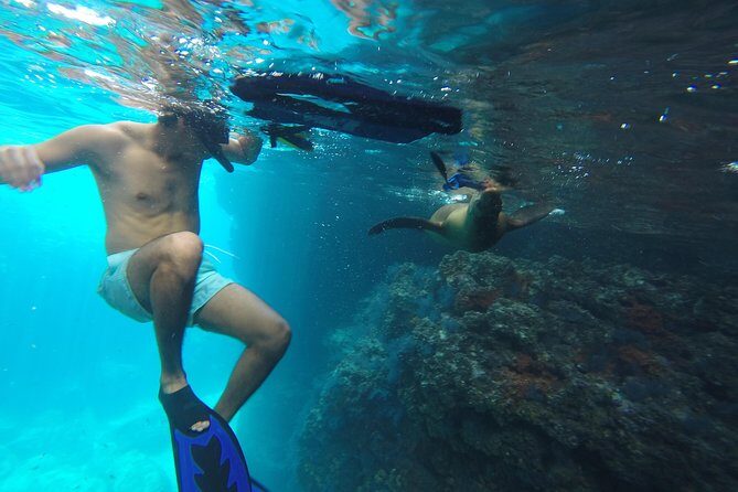 Espiritu Santo Island Snorkel & Sea Lion Adventure - The Itinerary: What Makes Each Stop Special