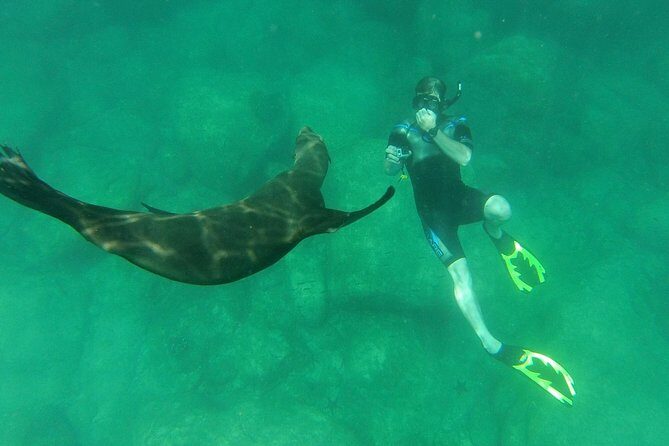 Espiritu Santo Island Snorkel & Sea Lion Adventure - The Value of the Tour