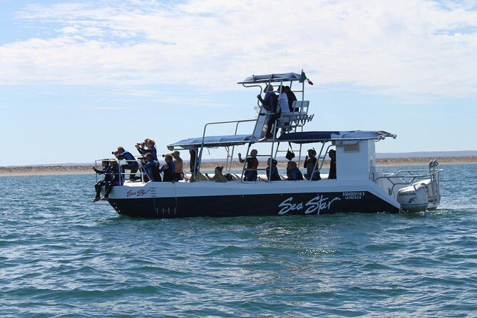 Espiritu Santo Island Snorkel & Sea Lion Adventure - The Reviews in Action