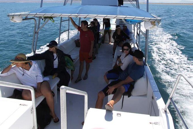 Espiritu Santo Island Snorkel & Sea Lion Adventure - Final Thoughts