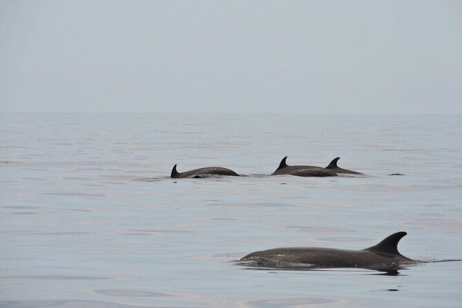Espiritu Santo Island: Snorkel, Wildlife and Beach - Final Thoughts