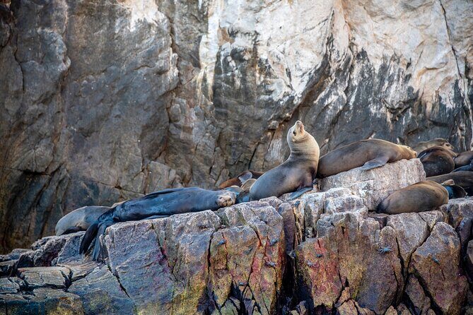 Espiritu Santo Island Tour - An In-Depth Look at the Isla Espíritu Santo Tour