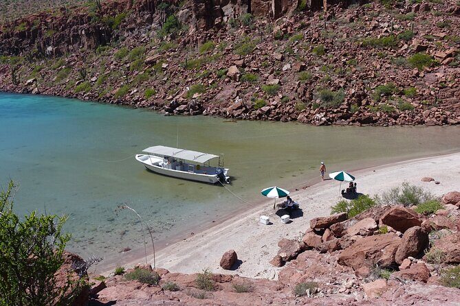 Espiritu Santo Wildlife Expedition and Snorkeling Tour (Private) - Authenticity and Conservation Focus