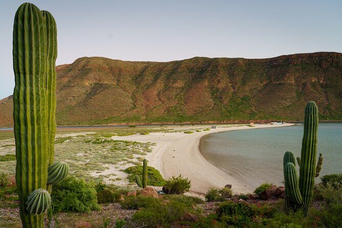 Espiritu Santo Wildlife Expedition and Snorkeling Tour (Private) - FAQ