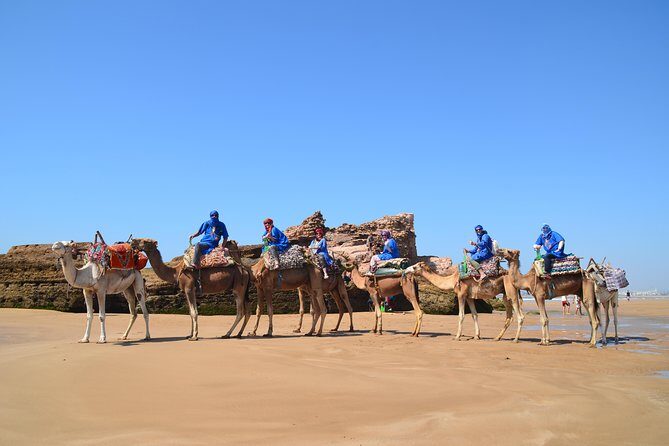 Essaouira: 1/2 Day Camel ride with meal. - The Itinerary: Dunes, Forests, and Beaches