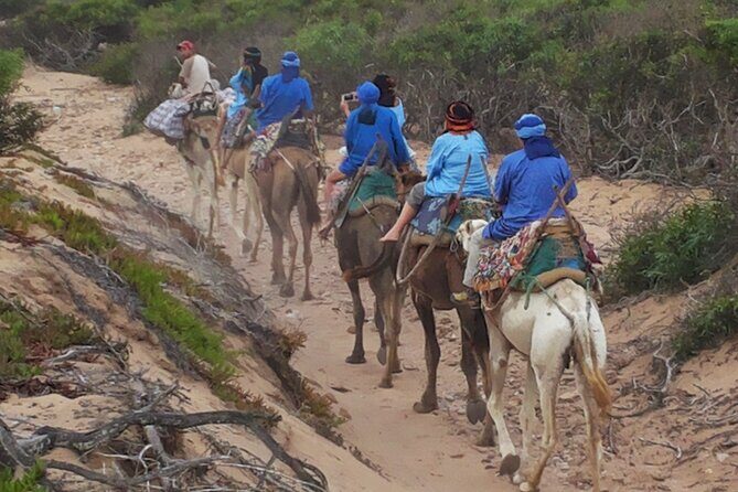 Essaouira 1 hour discovery ride on the back of a camel - The Itinerary & Experience Breakdown