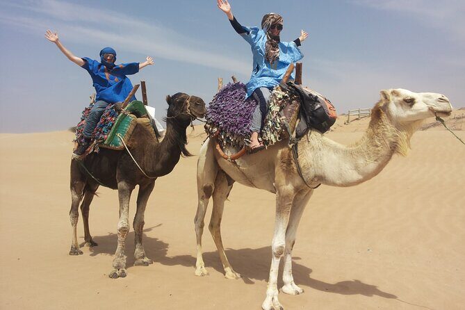 Essaouira 1 hour discovery ride on the back of a camel - Why This Tour Offers Great Value