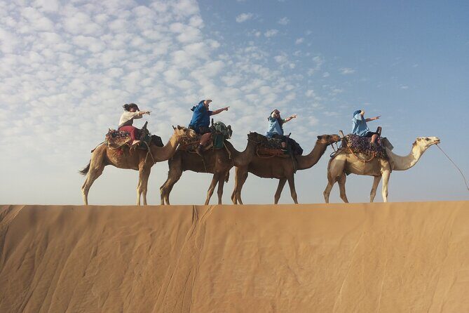 Essaouira 1 hour discovery ride on the back of a camel - Who Will Enjoy This Tour?