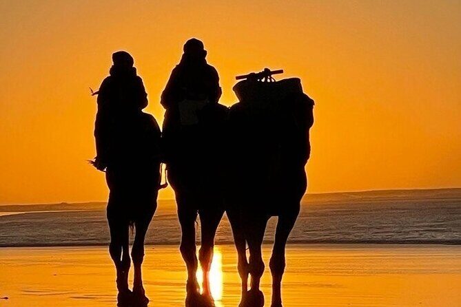 Essaouira 1 hour discovery ride on the back of a camel - The Sum Up