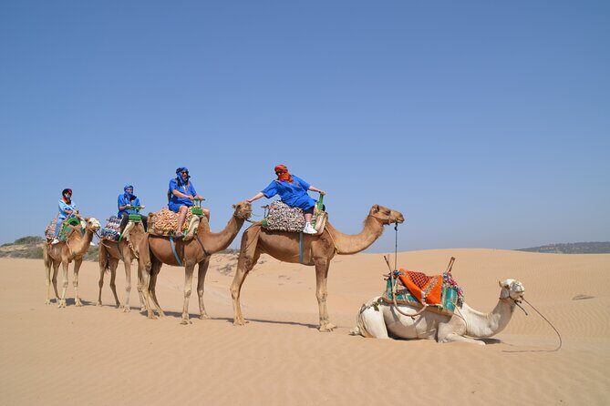 Essaouira 1 hour discovery ride on the back of a camel - FAQ