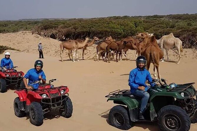 Essaouira: 1 Hour Dromedary + 2 Hours Quad - Introduction: What You Can Expect from This Unique Moroccan Adventure