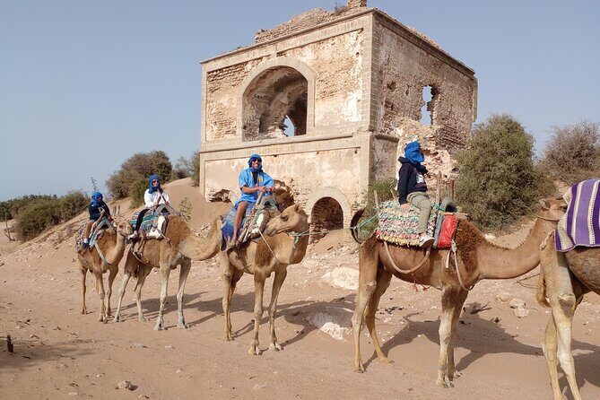 Essaouira: 1 Hour Dromedary + 2 Hours Quad - Final Thoughts: Who Will Love This Experience?