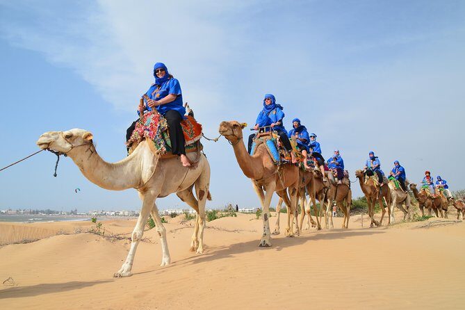 Essaouira 2-Hour Camel Adventure Ride - A Detailed Look at the Itinerary