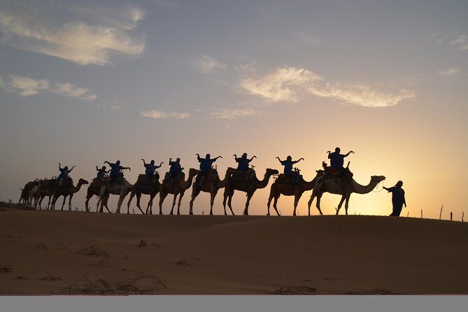 Essaouira 2-Hour Camel Adventure Ride - Practical Details and Considerations