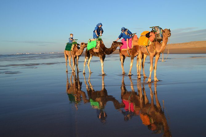 Essaouira 2-Hour Camel Adventure Ride - Why This Tour Is Worth It