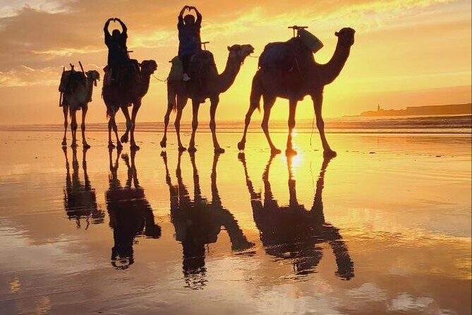 Essaouira 2-Hour Camel Adventure Ride - FAQ