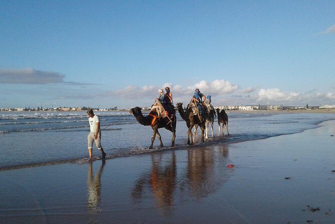 Essaouira: 2H camel/pick up and drop off including - What to Expect from the Tour