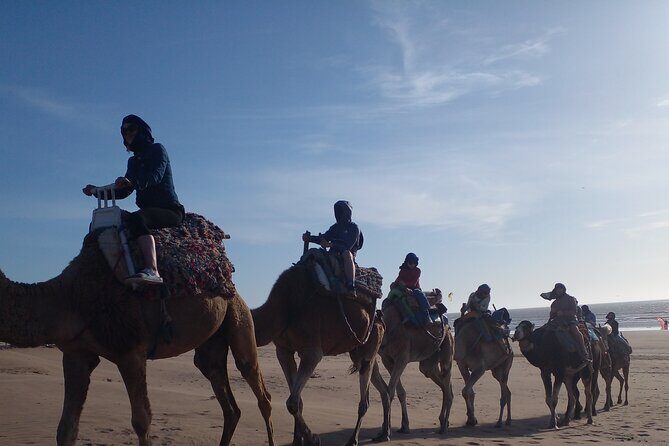 Essaouira: 2H camel/pick up and drop off including - The Experience in Detail