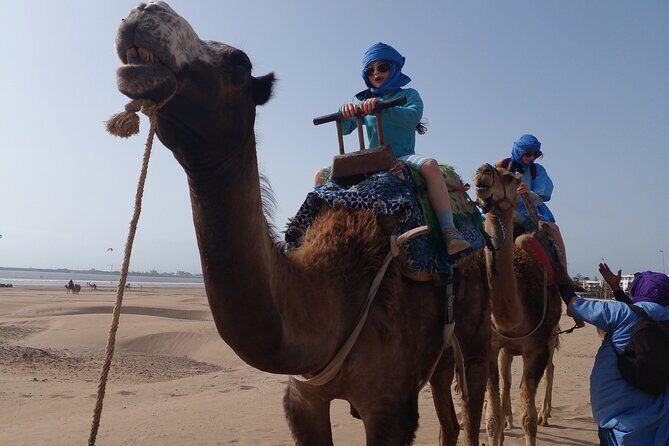 Essaouira: 2H camel/pick up and drop off including - Final Thoughts