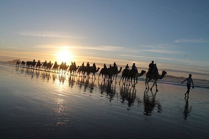 Essaouira: 2H/ Quad + 2H/ Dromedary free transfer - The Itinerary Breakdown: What to Expect