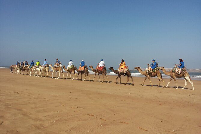 Essaouira: 2H/ Quad + 2H/ Dromedary free transfer - Who Should Book This Tour?