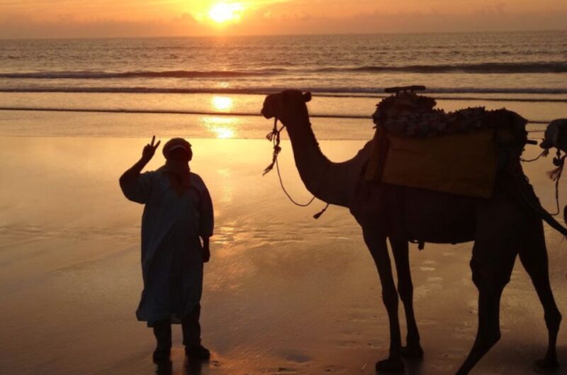Essaouira: 3-Hour Dromedary Ride and Berber Tent Overnight - Key Points