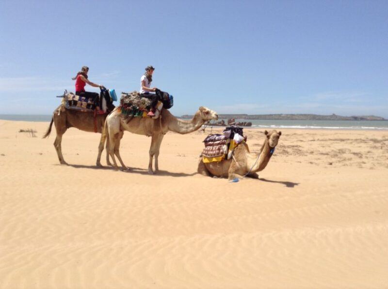 Essaouira: 3-Hour Dromedary Ride and Berber Tent Overnight - An Authentic Moroccan Adventure
