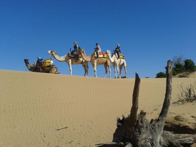 Essaouira: 3-Hour Dromedary Ride and Berber Tent Overnight - The Morning Routine and Return