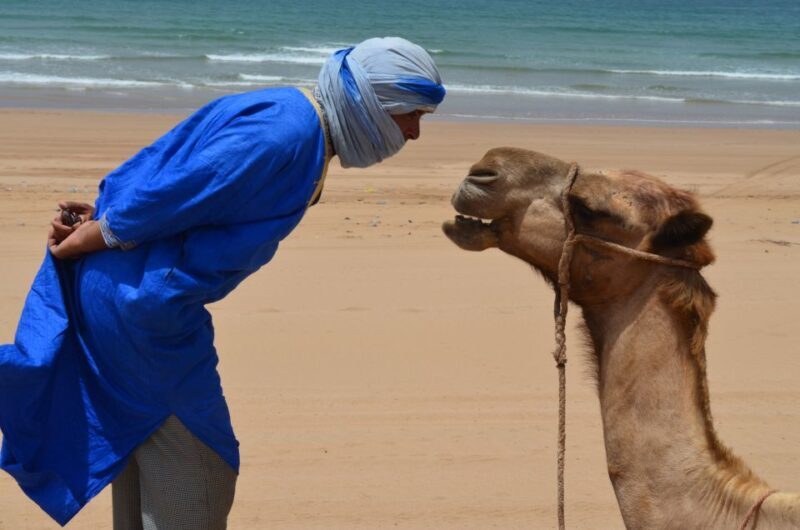 Essaouira: 3-Hour Dromedary Ride and Berber Tent Overnight - FAQs