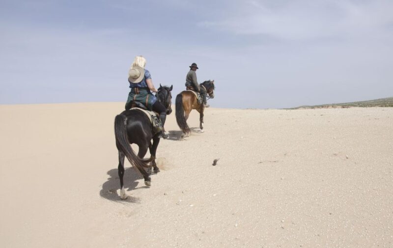 Essaouira: 3-Hour Horse Ride and Berber Tent Overnight - What Others Say