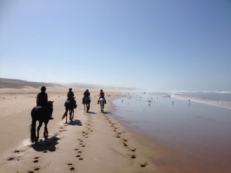 Essaouira: 3-Hour Horseback Ride - An In-Depth Look at the Essaouira Horseback Ride