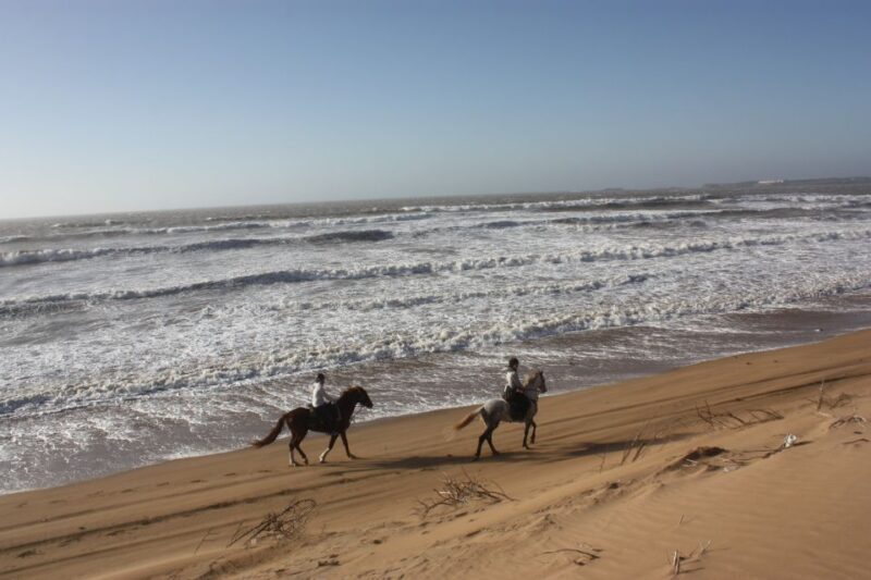 Essaouira: 3-Hour Horseback Ride - The Sum Up