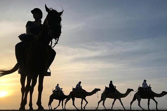 Essaouira Activities: Discover Essaouira by Quad - Discover Essaouira by Quad: A Practical and Authentic Guide