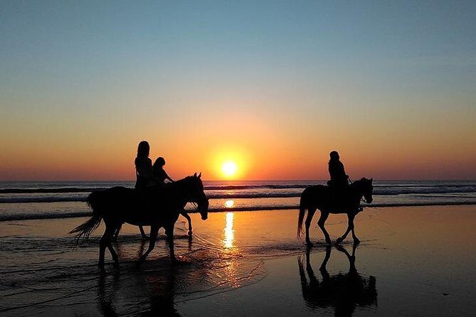 Essaouira Activities: Discover Essaouira by Quad - The Reviews Speak Volumes
