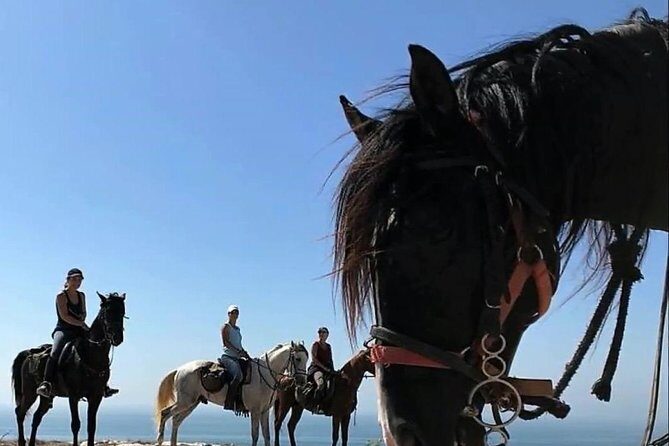 Essaouira Activities: Discover Essaouira by Quad - Practical Details and Tips