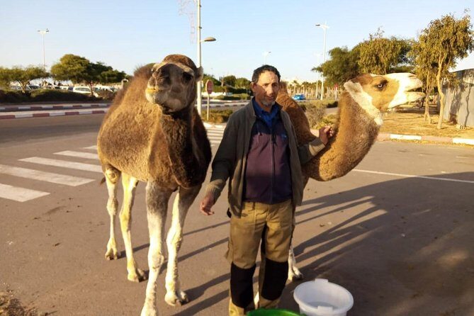 Essaouira Activities: Discover Essaouira by Quad - The Sum Up