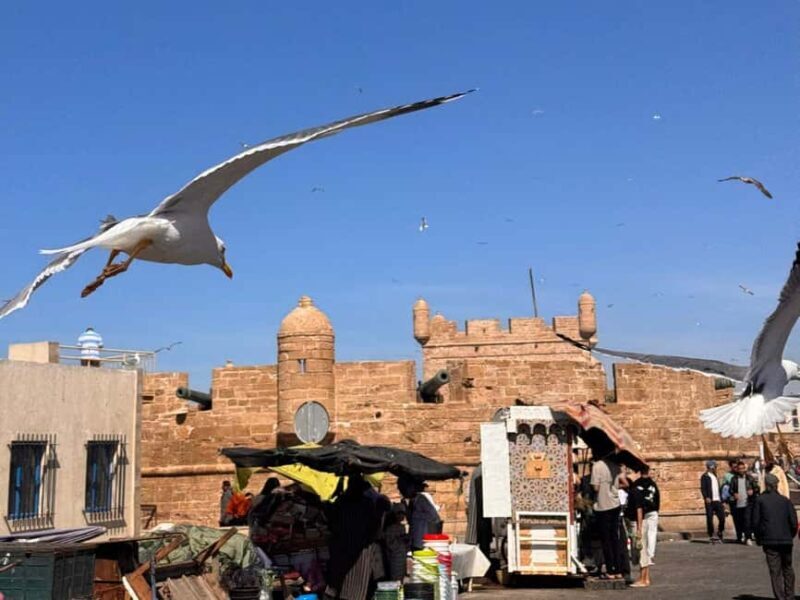 Essaouira and Atlantic Coast Full-Day Trip - Practical Tips for Making the Most of Your Day