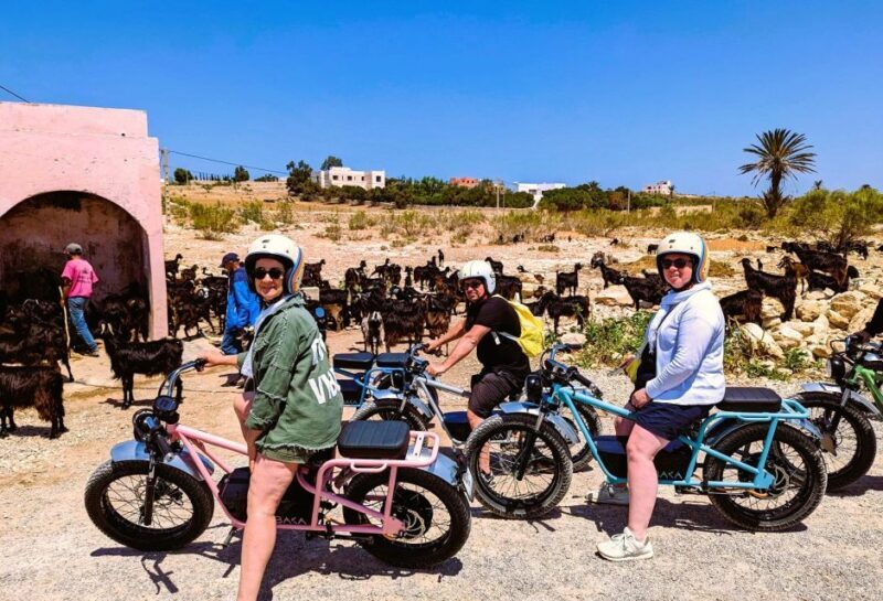 Essaouira: Area Highlights Guided E-Bike Tour - Key Points