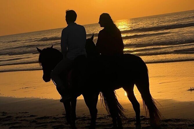 Essaouira Beach Horse Rides &Treks for All Levels - The Booking and Practicalities