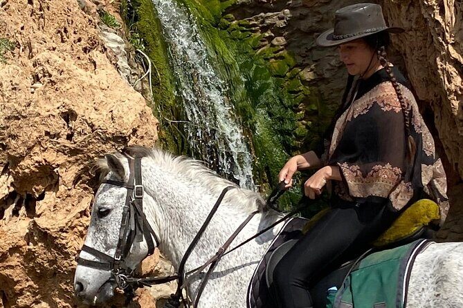 Essaouira Beach Horse Rides &Treks for All Levels - Authentic Moroccan Hospitality