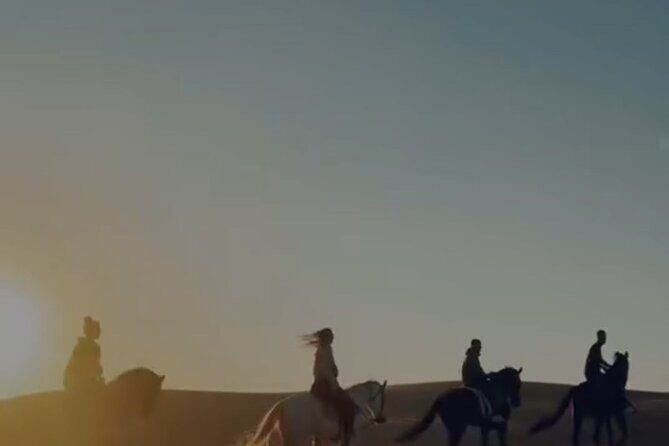 Essaouira Beach Horse Rides &Treks for All Levels - Limitations and Considerations