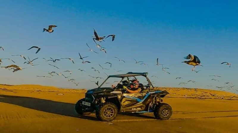 Essaouira: buggy Tour with Tea break - What is Included and How It Works