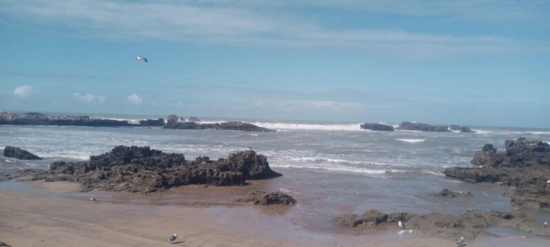 Essaouira City day Trip from Marrakech - What Makes This Tour Stand Out?