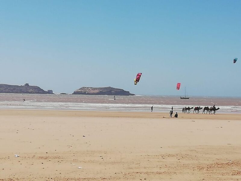 Essaouira City day Trip from Marrakech - Practical Details & Tips