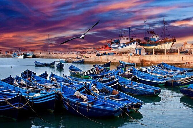 Essaouira city excursion to the Atlantic coast of Marrakech - An In-Depth Look at the Essaouira Day Trip