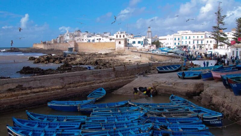 Essaouira Coastal Adventure Full-Day Excursion from Marakech - FAQs about the Essaouira Coastal Full-Day Trip